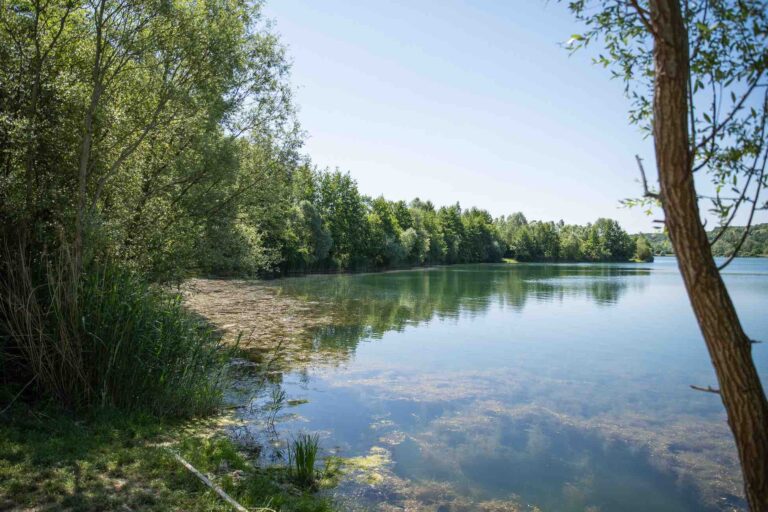 vue gauche poste 11 étang du tronc du chêne cap nature