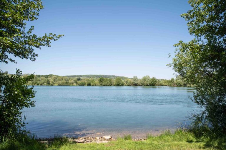 vue plein eau poste 12 étang du tronc du chêne cap nature