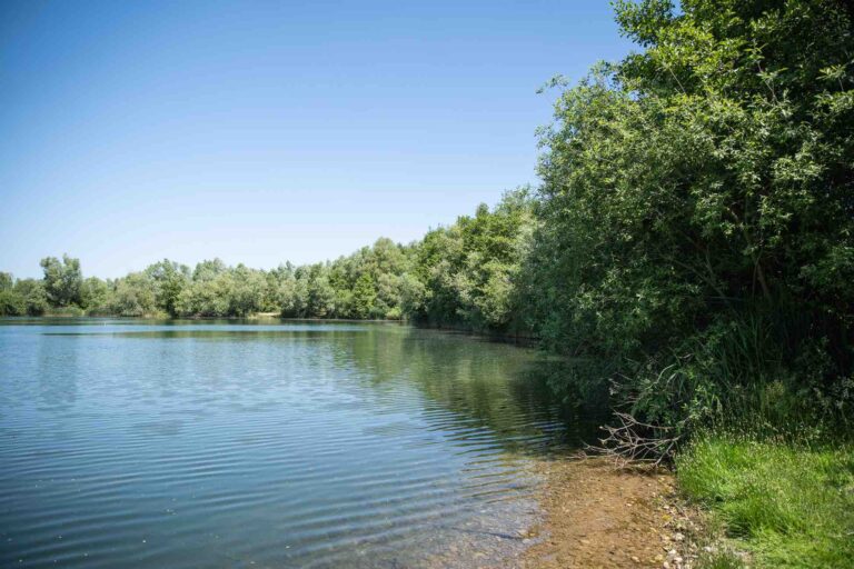vue droite poste 12 étang du tronc du chêne cap nature
