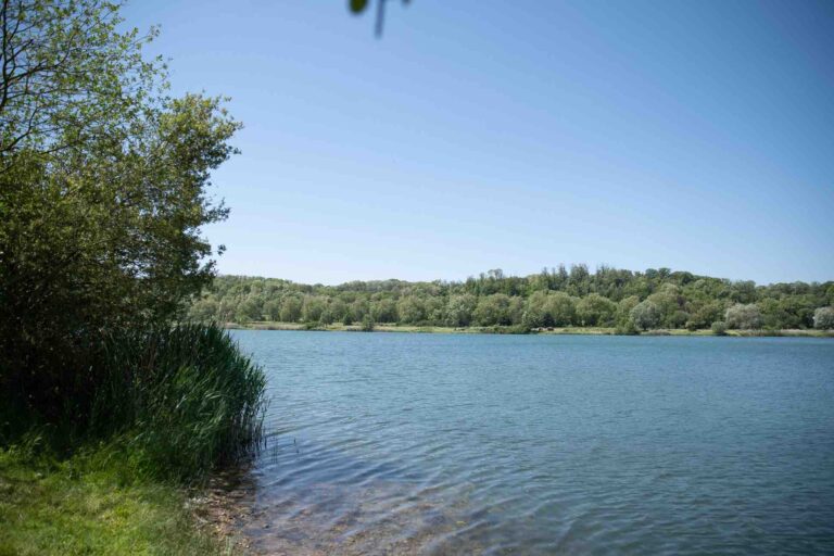 vue gauche poste 13 étang tronc du chêne cap nature