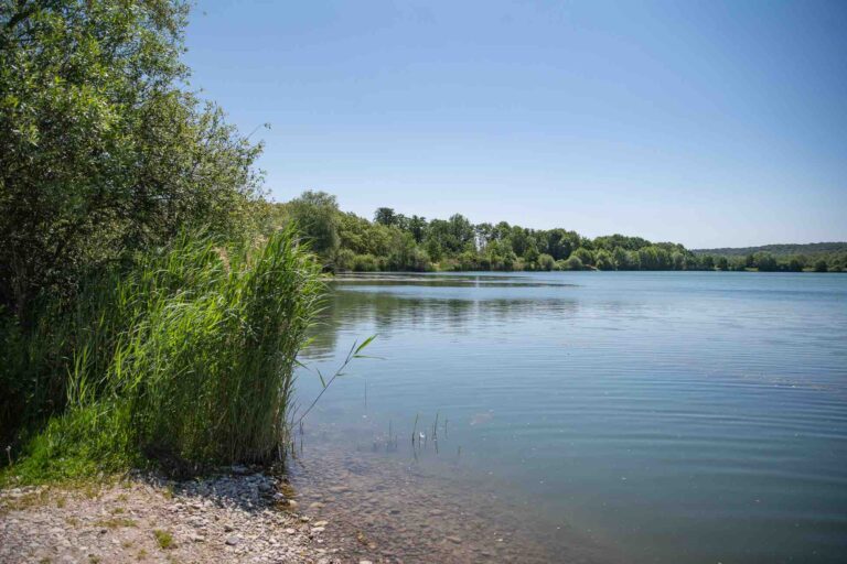 cap nature vue gauche poste 14 étang tronc du chêne