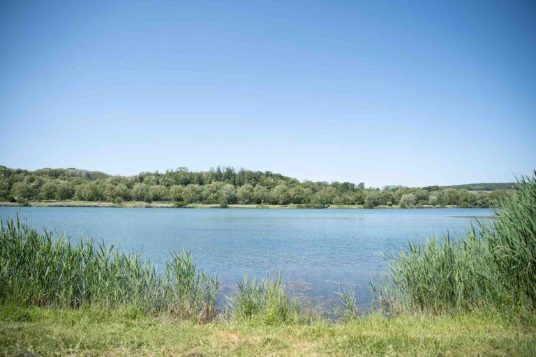 vue plein eau poste 16 étang tronc du chêne cap nature