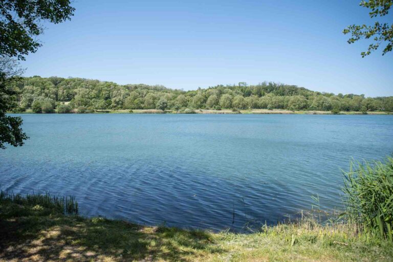 vue plein eau poste 18 étang tronc du chêne cap nature