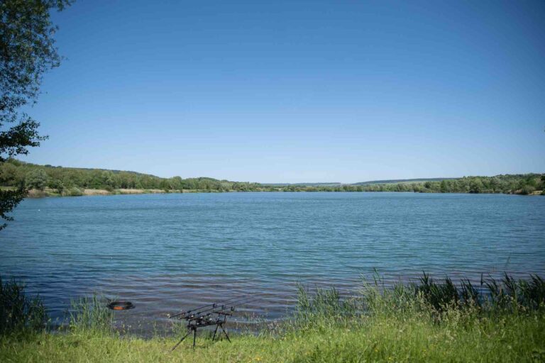 vue plein eau poste 19 étang tronc du chêne cap nature