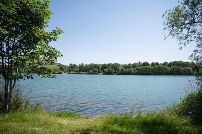 vue poste 2 étang du tronc du chene cap nature