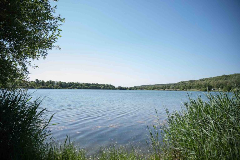 poste 9 étang du tronc du chene cap nature