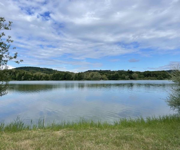 poste 7 étang tronc du chene, pleine eau vue droite