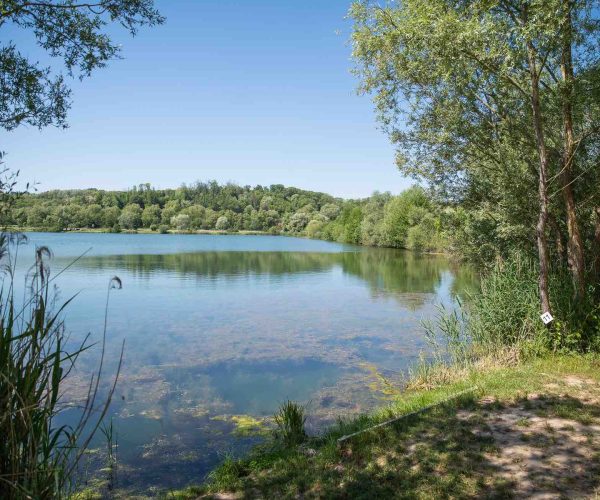 vue droite poste 11 étang du tronc du chêne cap nature