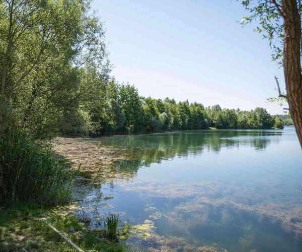 vue gauche poste 11 étang du tronc du chêne cap nature