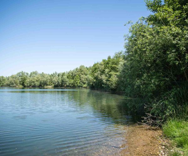 vue droite poste 12 étang du tronc du chêne cap nature