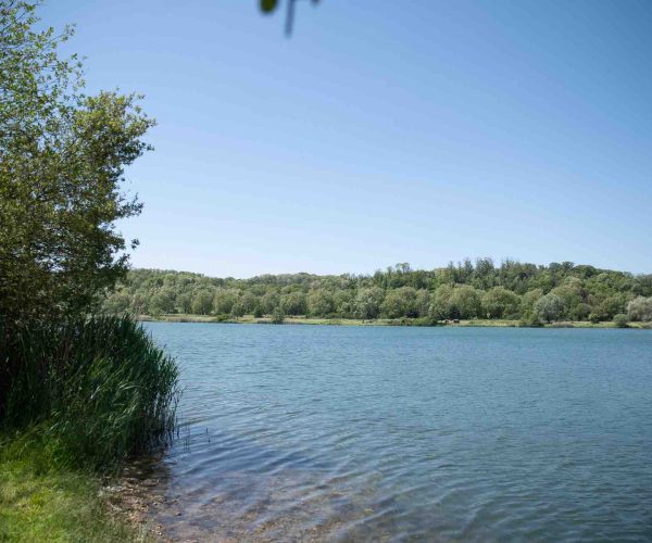 vue gauche poste 13 étang tronc du chêne cap nature
