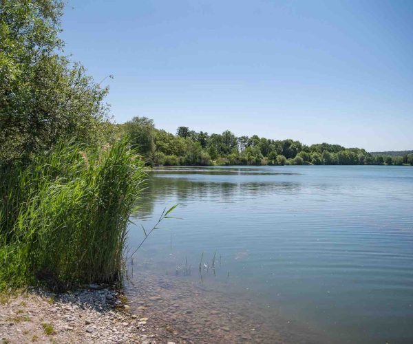 cap nature vue gauche poste 14 étang tronc du chêne