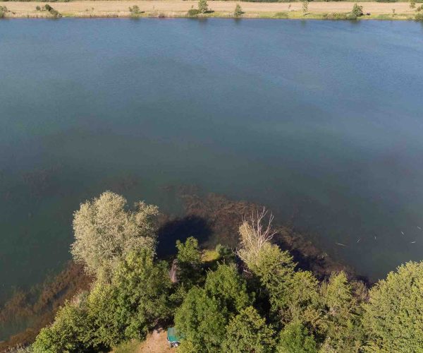 poste 15 vue plein eau étang tronc du chêne cap nature
