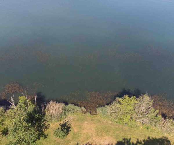 vue drone poste 16 étang tronc du chêne cap nature