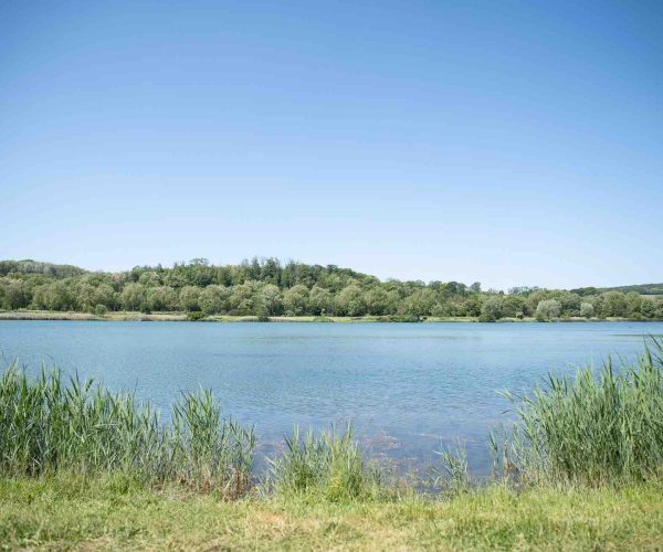 vue plein eau poste 16 étang tronc du chêne cap nature