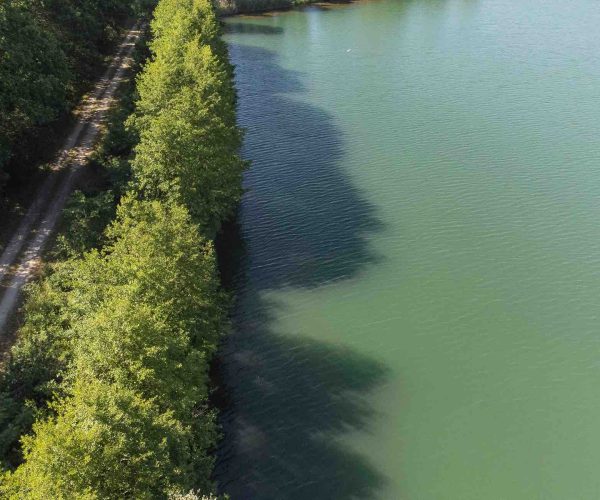 vue bordure poste 18 étang tronc du chêne cap nature
