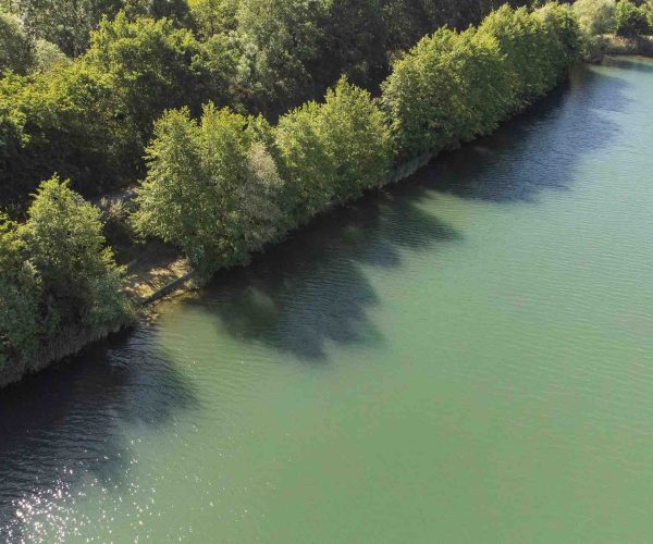 vue de face poste 18 étang tronc du chene cap nature