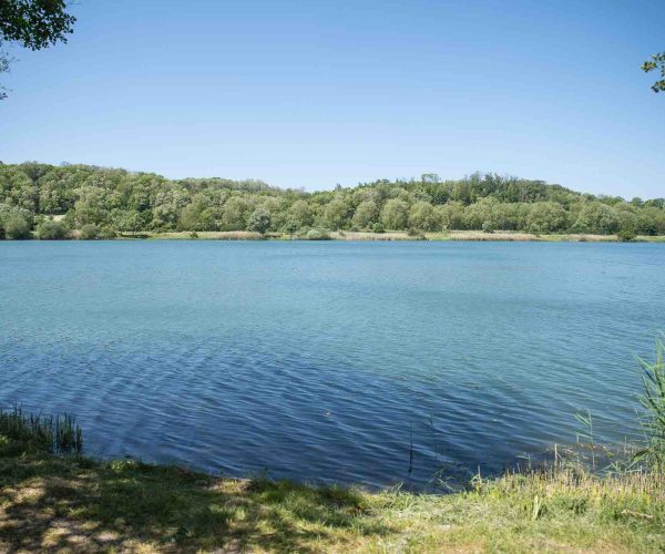 vue plein eau poste 18 étang tronc du chêne cap nature