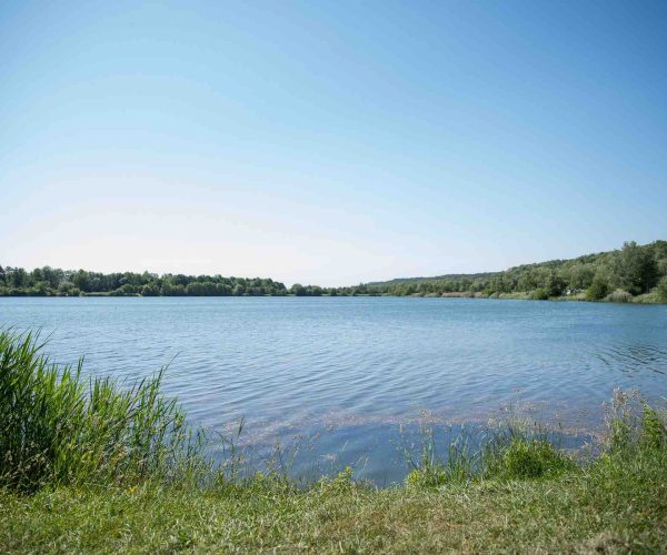 poste 8 étang du tronc du chene cap nature